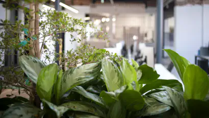 DE&I Workshop with Voice At The Table 