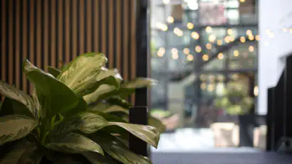 World Mental Health Day at Firesprite