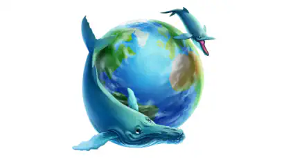 Firesprite Partner with Whale and Dolphin Conservation