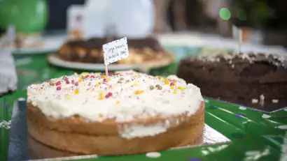 Firesprite Raise £775 for Macmillan Cancer Support