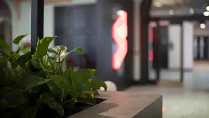 Meet the Sprites: Ian France